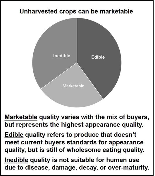 Pie chart of marketable, edible and inedible crops